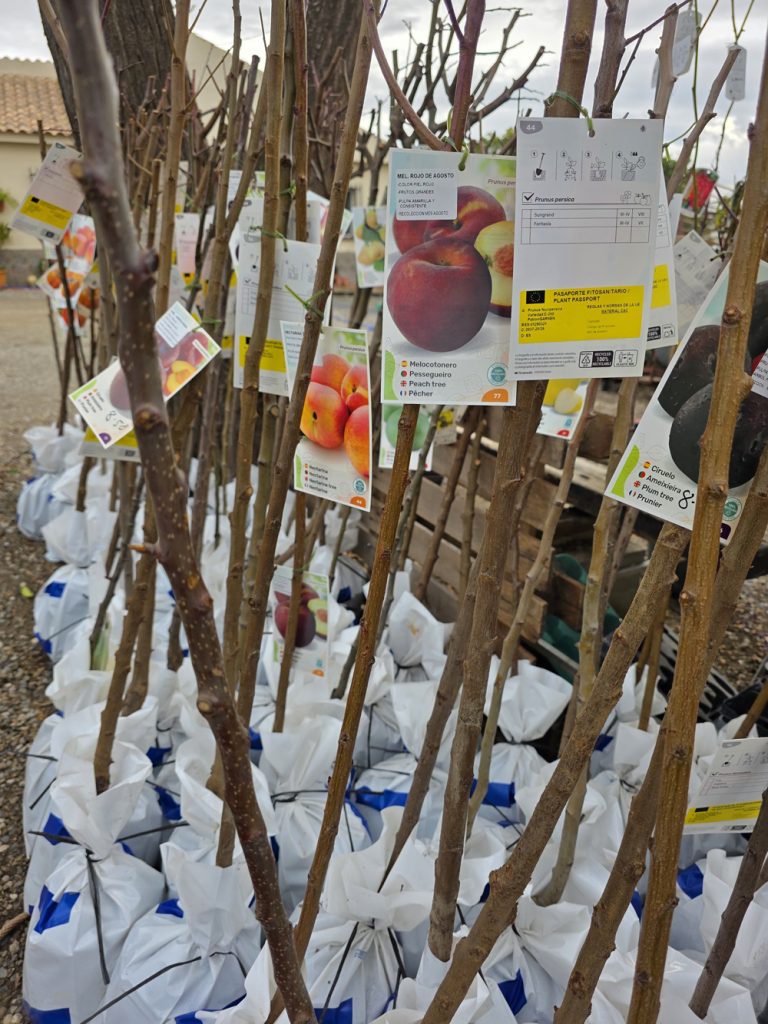 árboles frutales y citricos