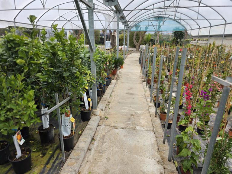 plantas de interior y exterior