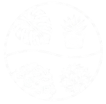 plantas interior y exterior